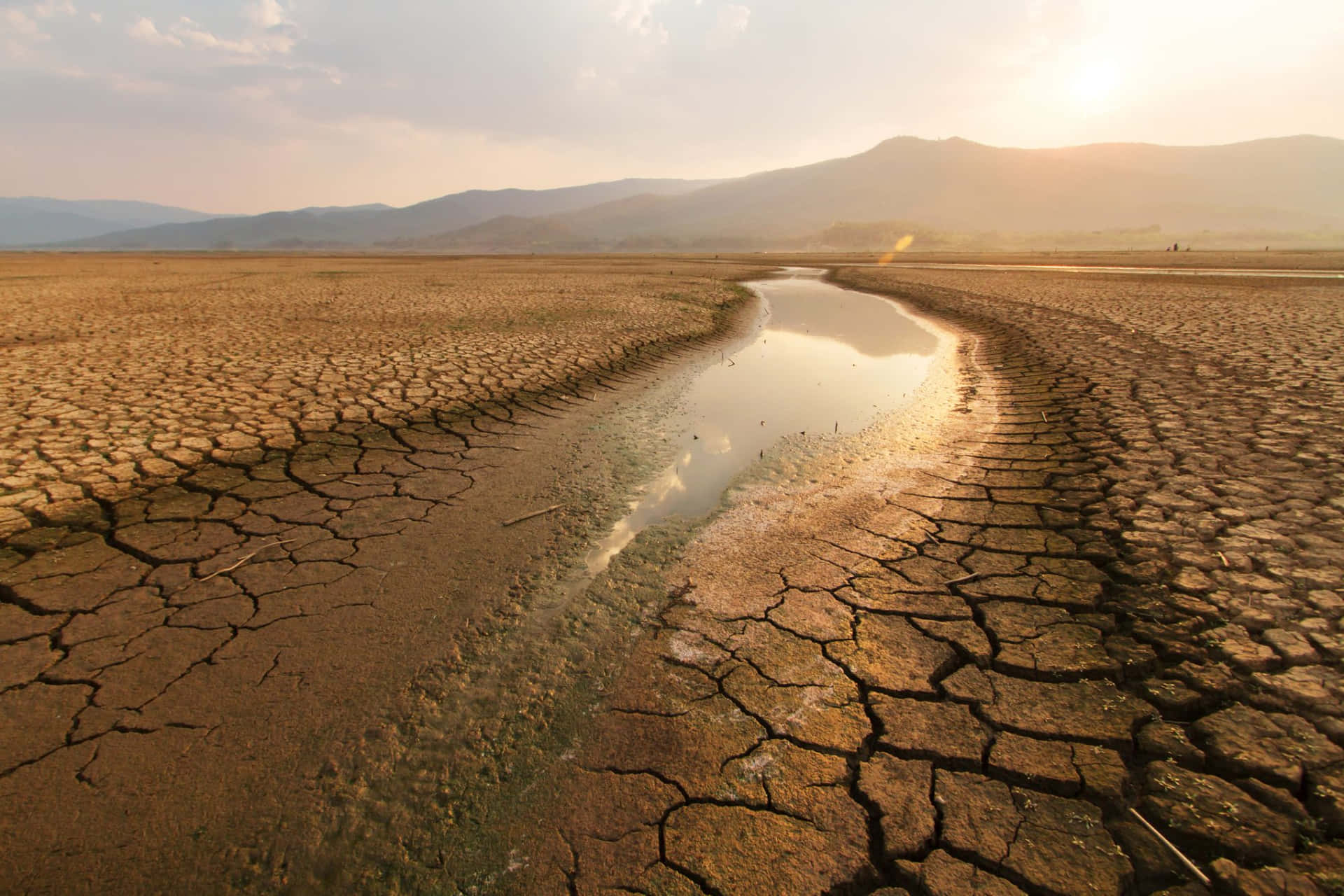 Billede af tørke og klimaændringer ved floden