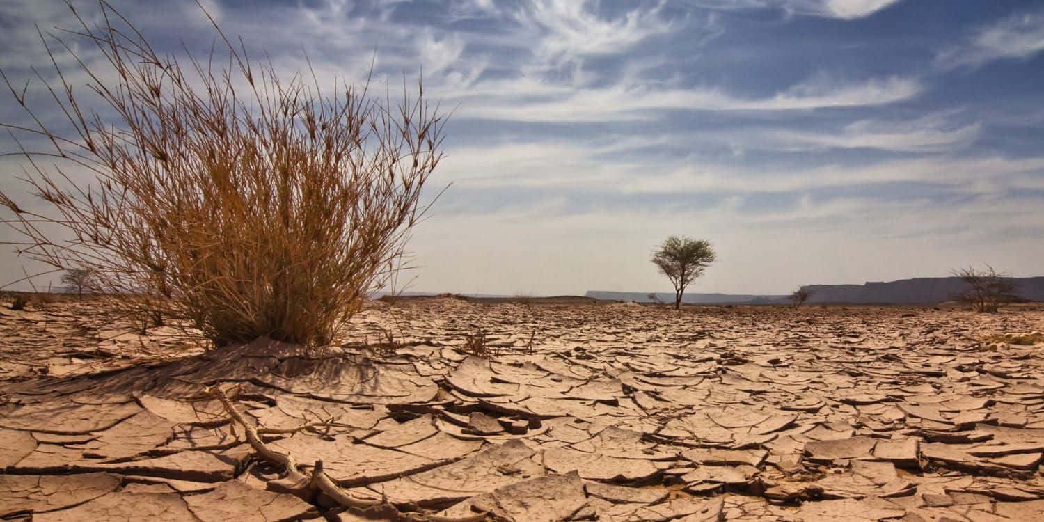 Bilddes Klimawandels Auf Trockenem Land