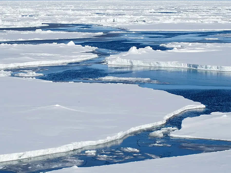 Bildvon Eisschichten Und Dem Klimawandel
