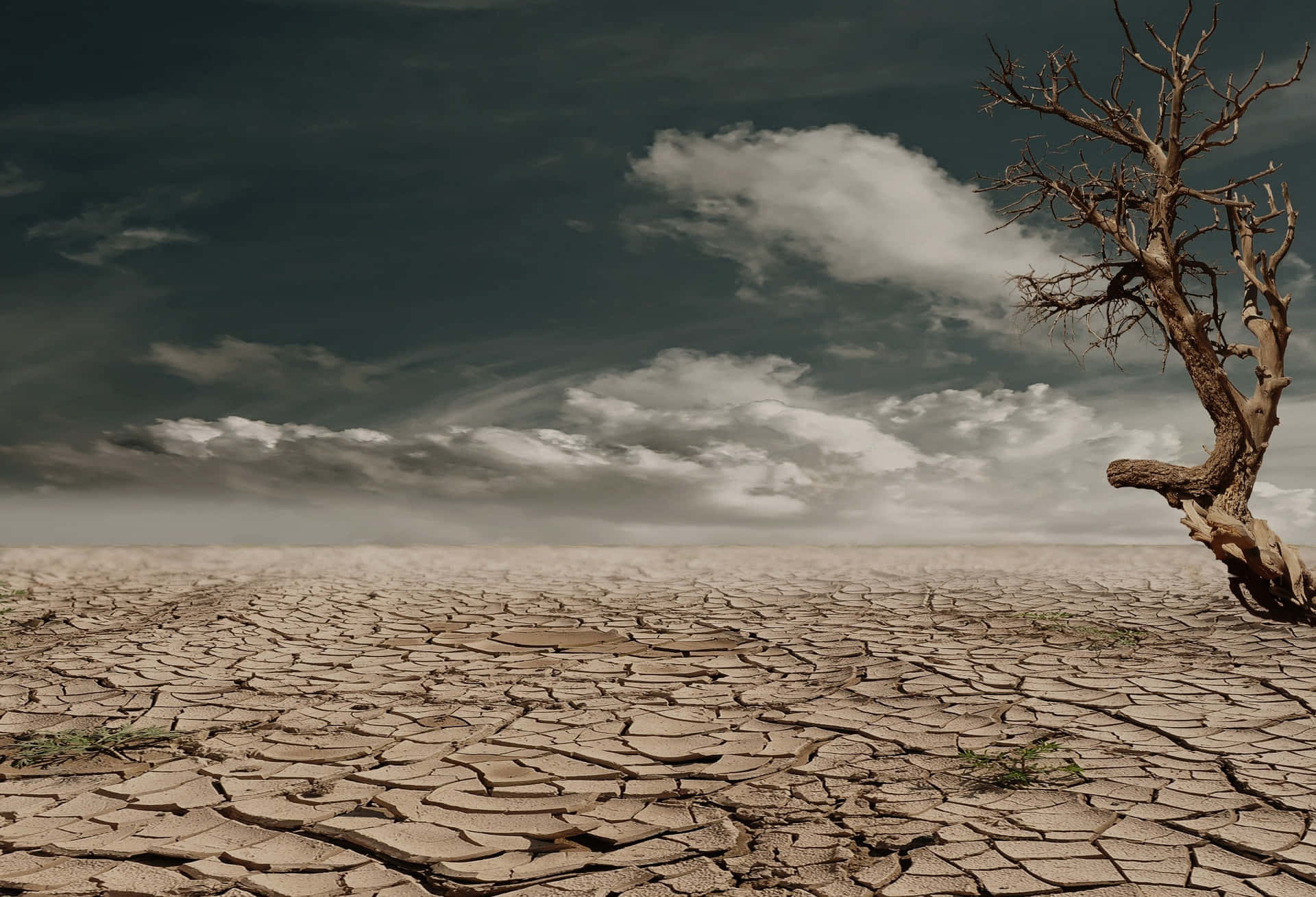 Dehydrated Land Climate Change Picture