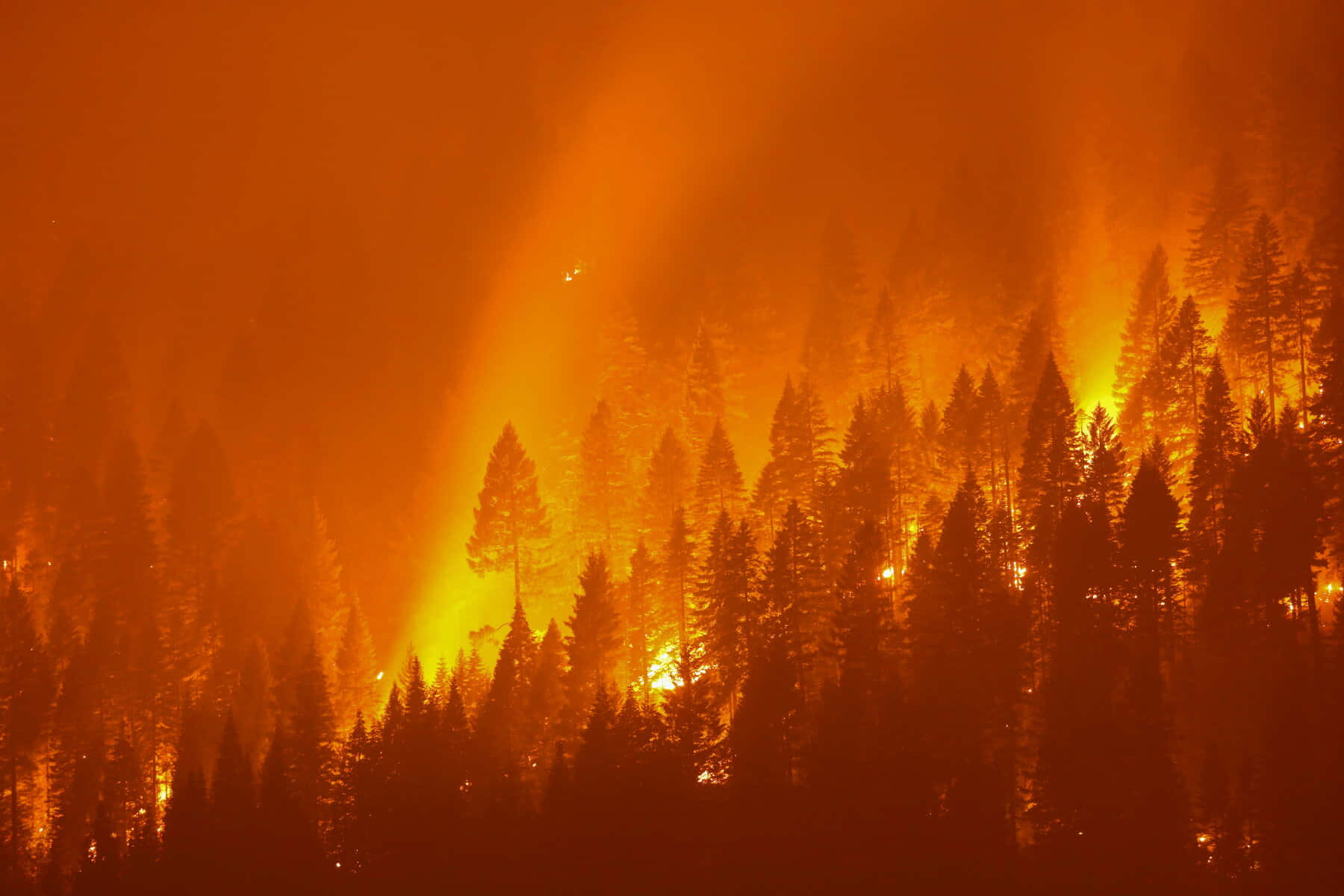 Wildfireklimawandel Bild