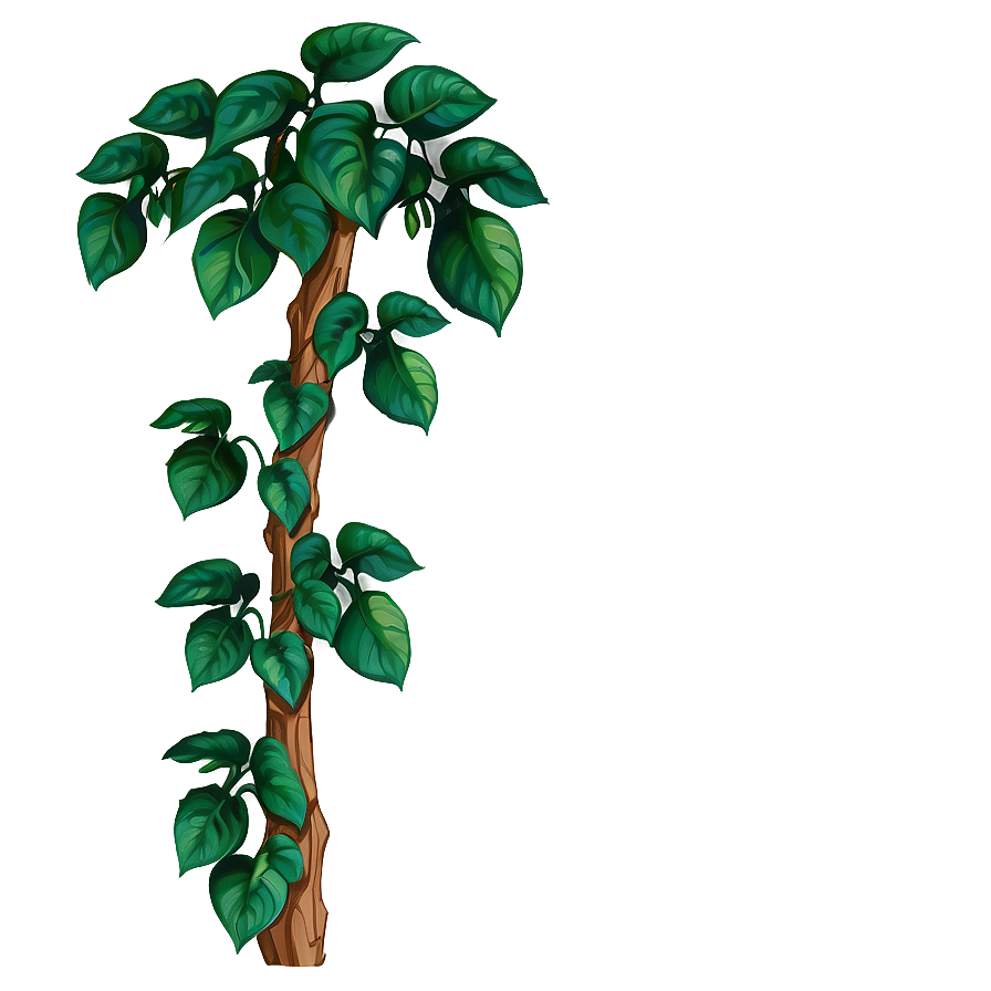 Climbing Plant Png 05032024 PNG
