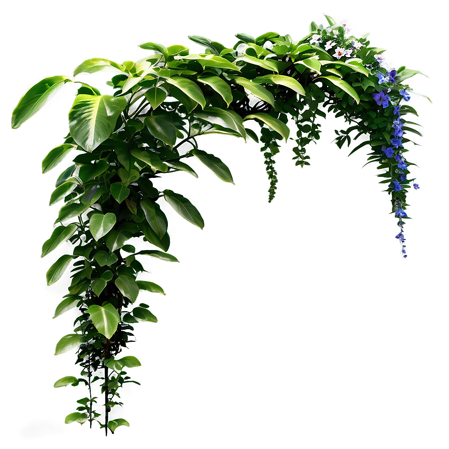 Climbing Plants Png 46 PNG