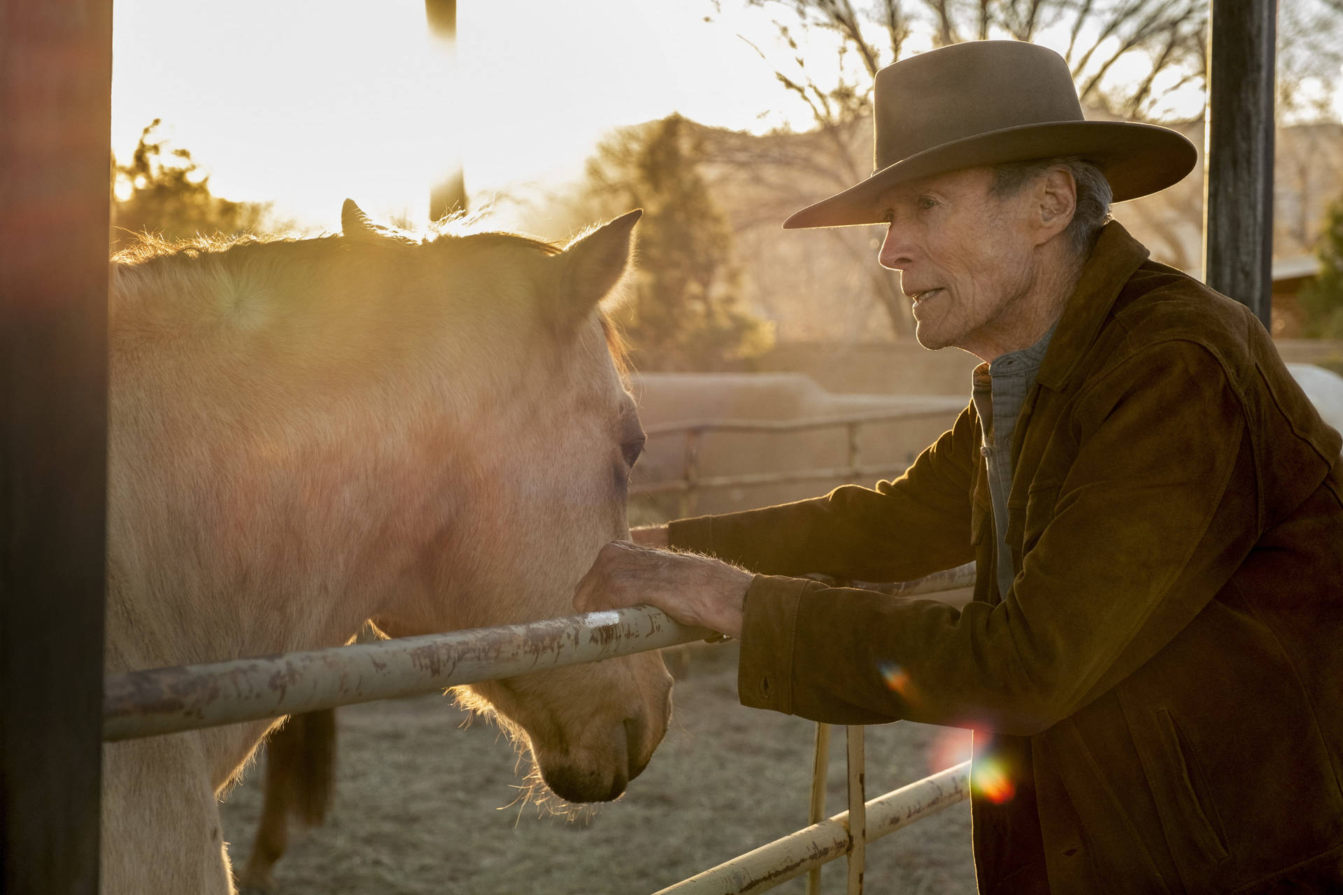 Clint Eastwood Petting Horse Wallpaper