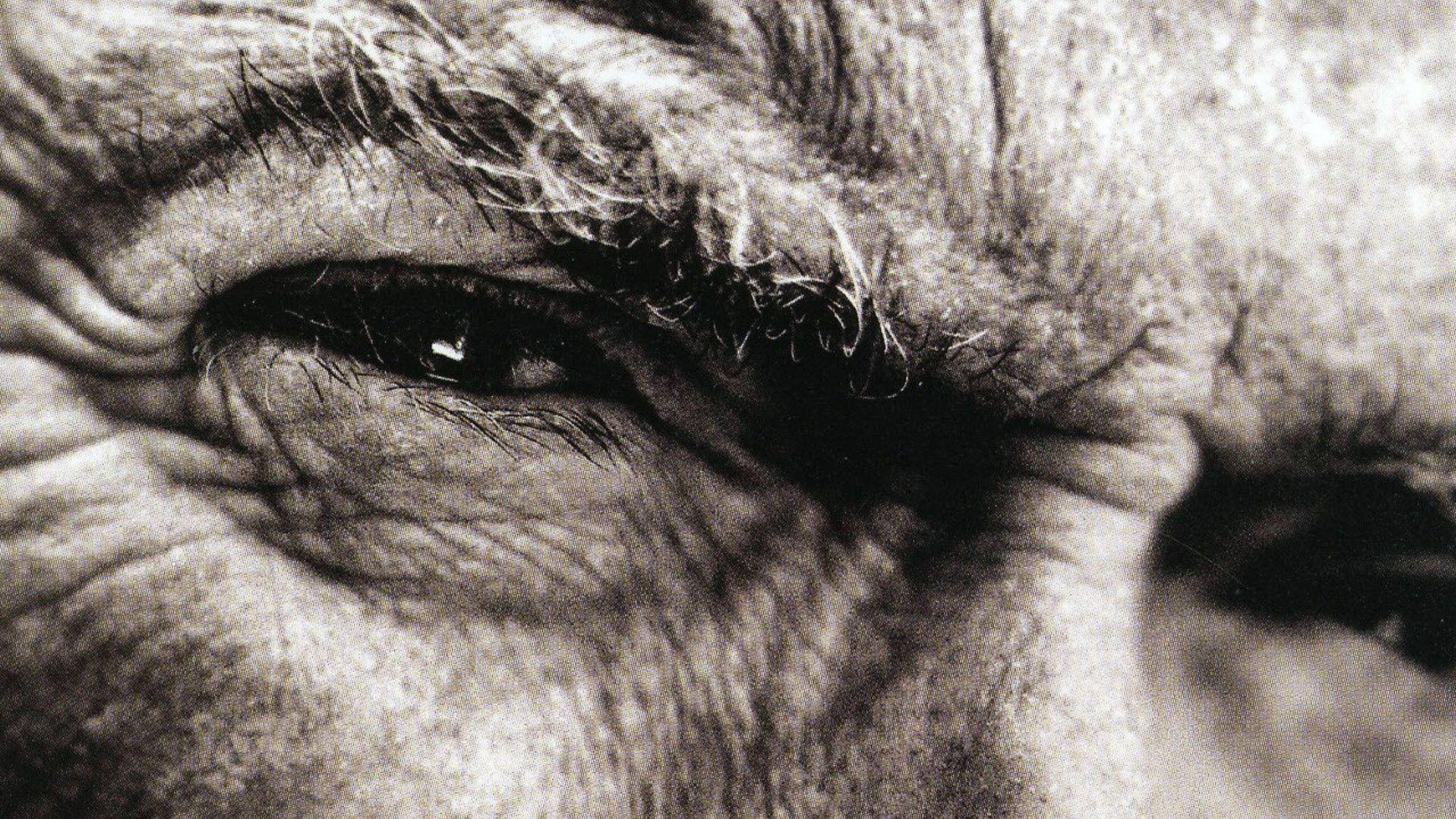 Clint Eastwood rynkede øjne ansigt Wallpaper