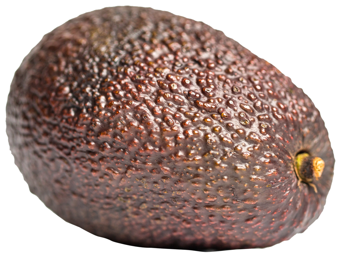 Close Up Avocado Skin Texture PNG