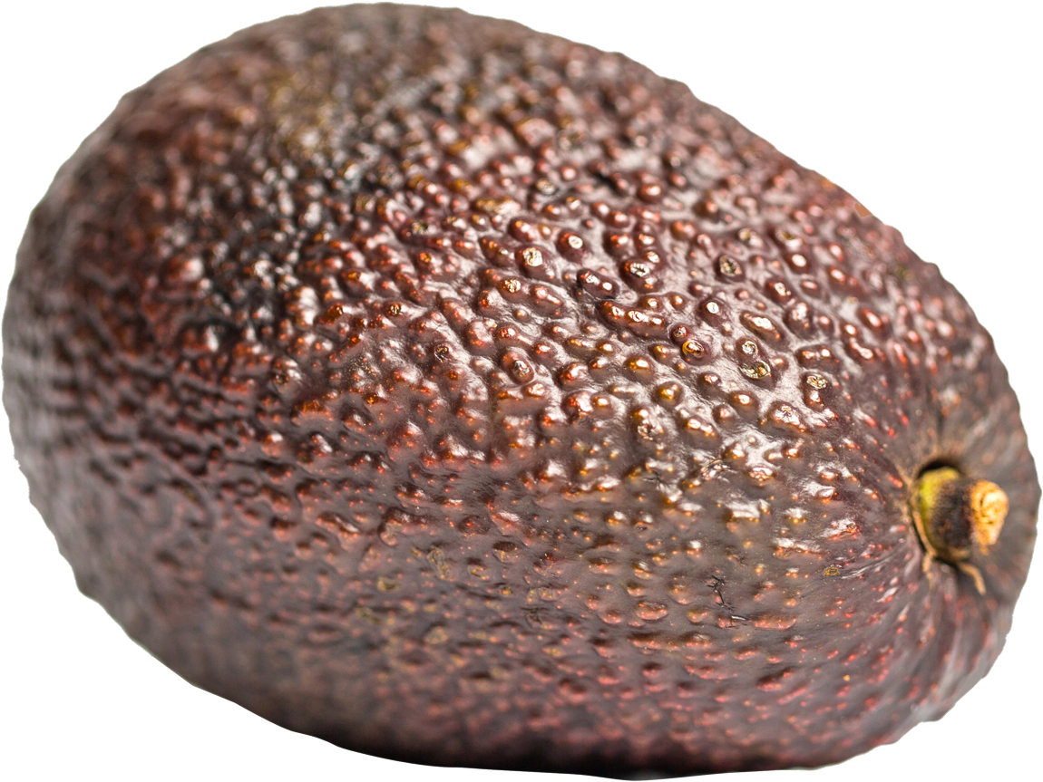 Close Up Avocado Skin Texture PNG
