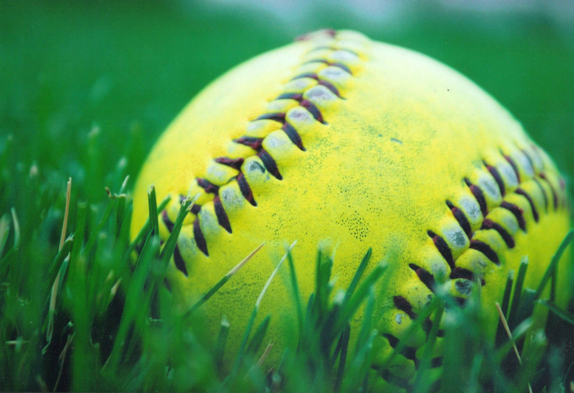 Close-up Awesome Softball On Grass Wallpaper