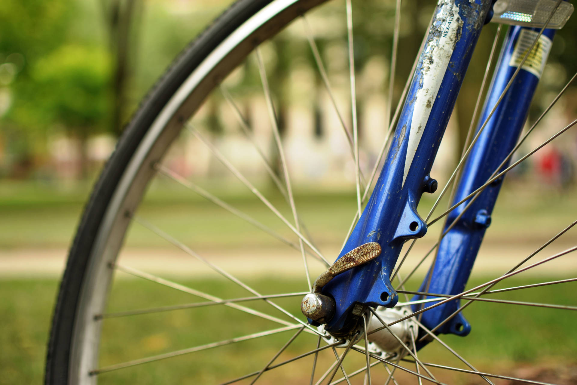 Close-up Bicycle Wheel Background
