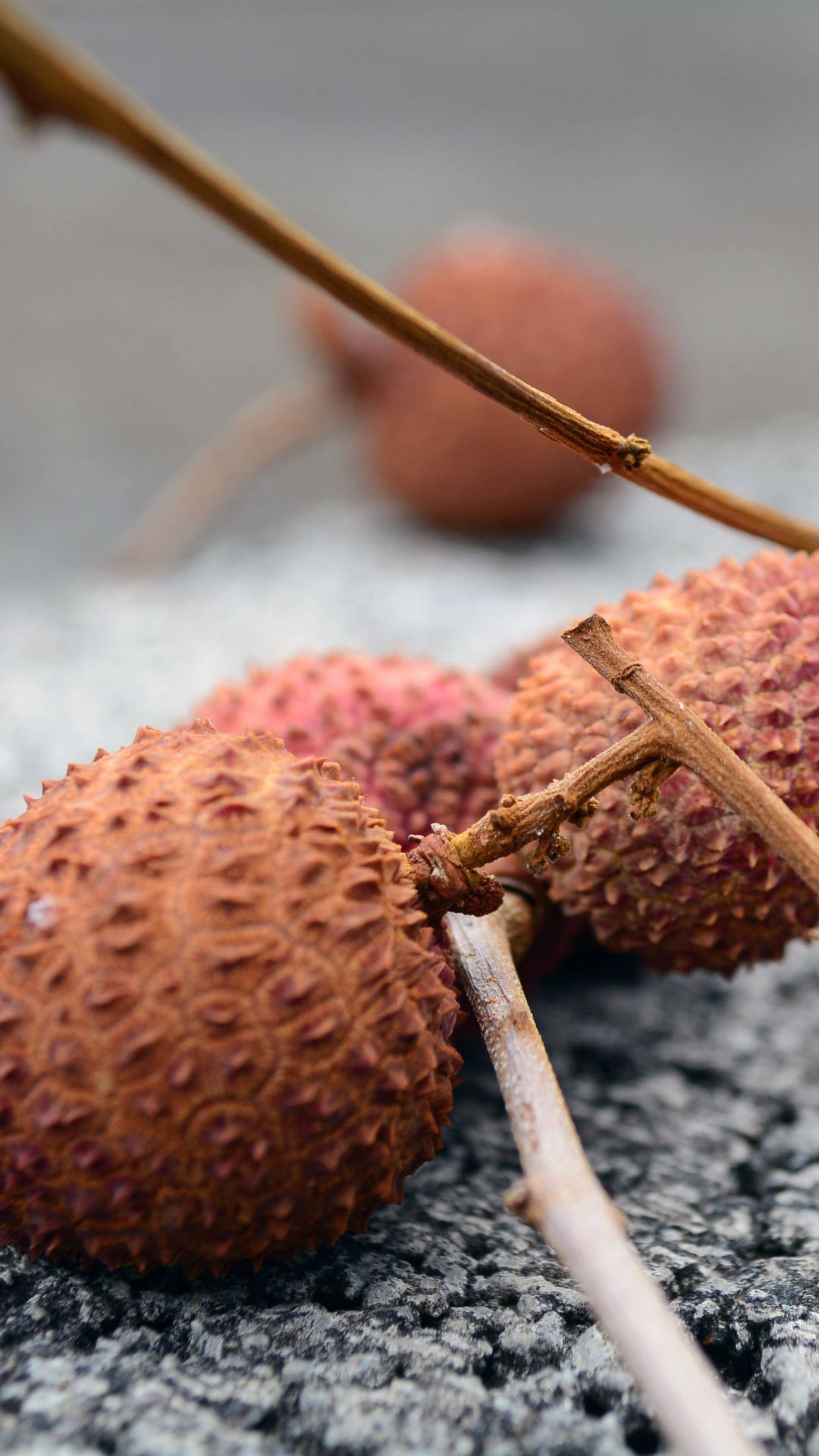 Close Up Brown Tropical Fruit Lychees Wallpaper