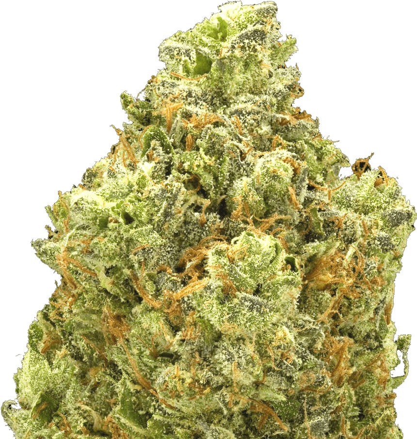 Close Up Cannabis Bud Quality PNG