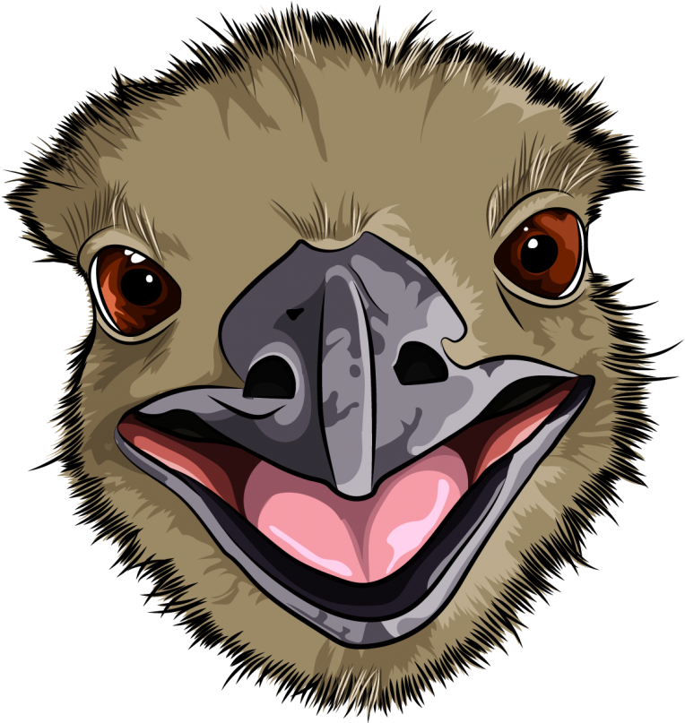 Close Up Cartoon Emu Face PNG
