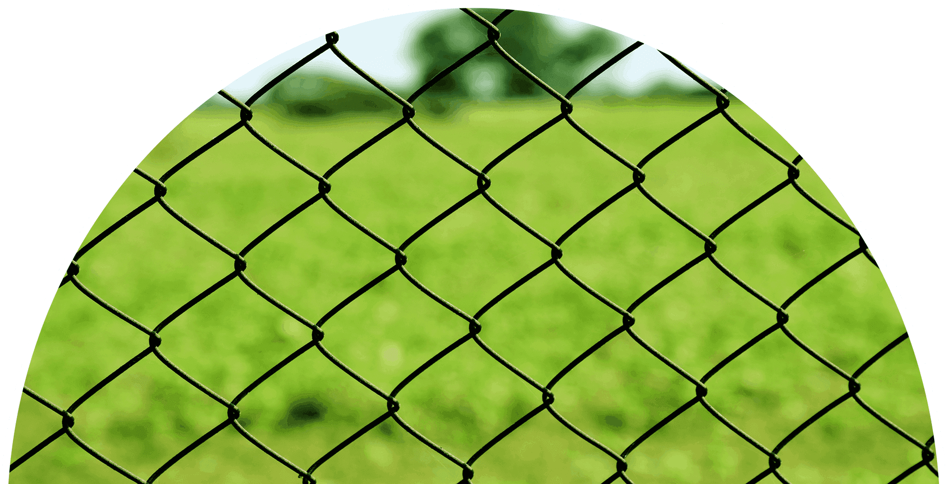 Close Up Chain Link Fence Green Background PNG