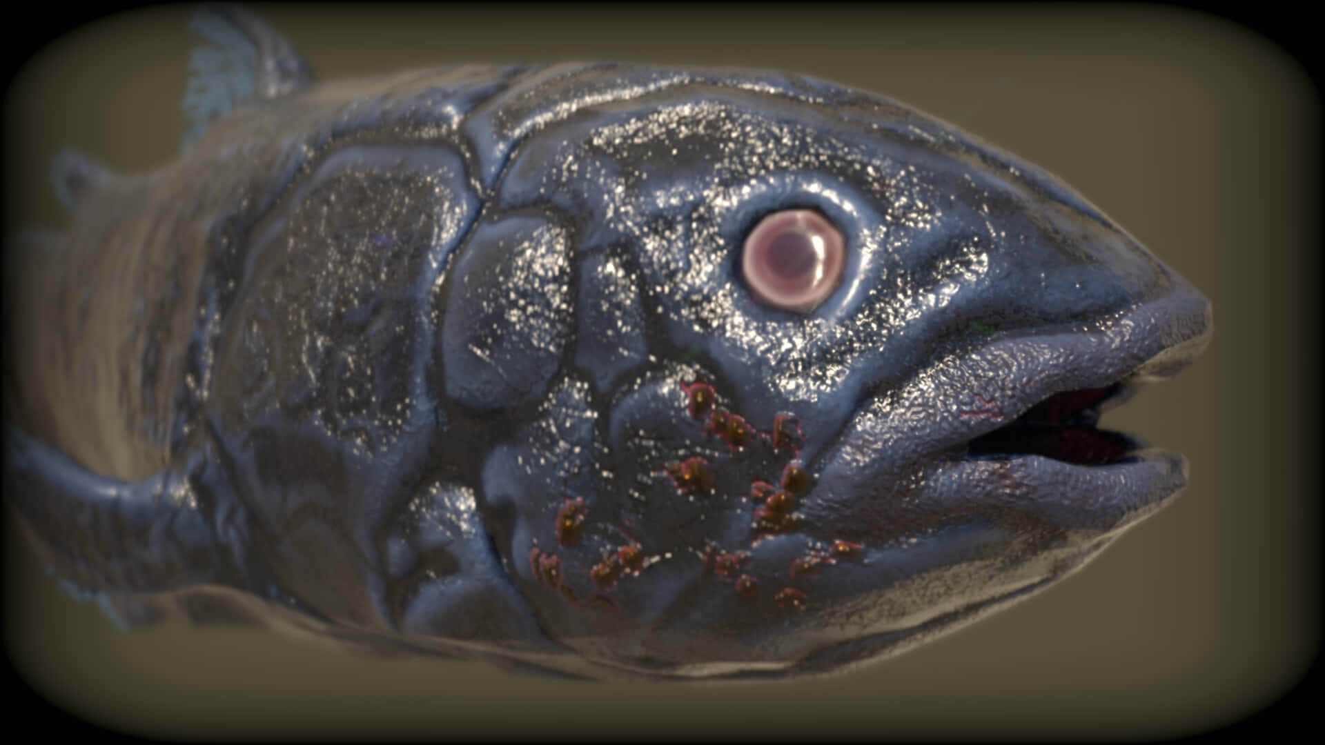 Close Up Coelacanth Fish Wallpaper