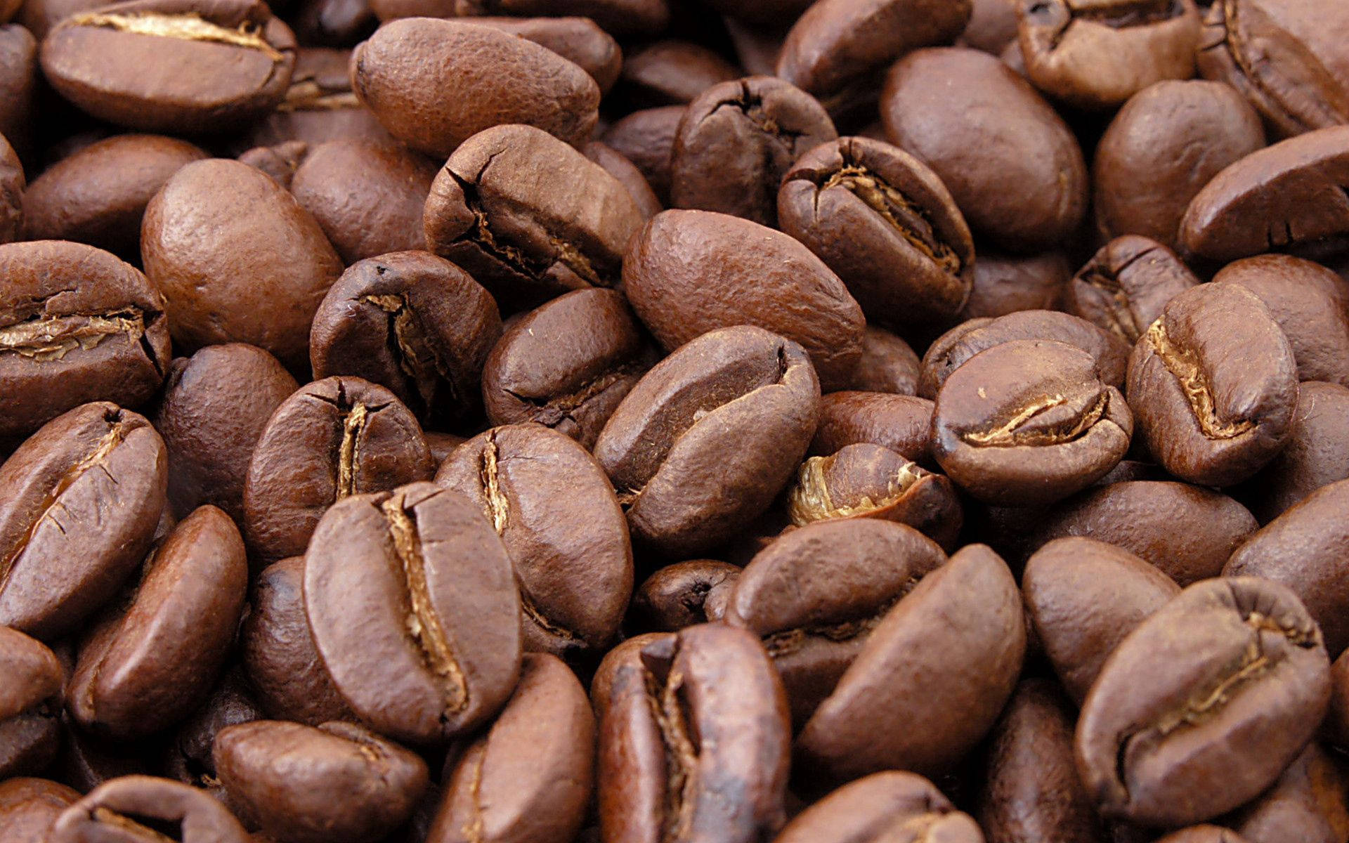 Close-up Coffee Beans Wallpaper