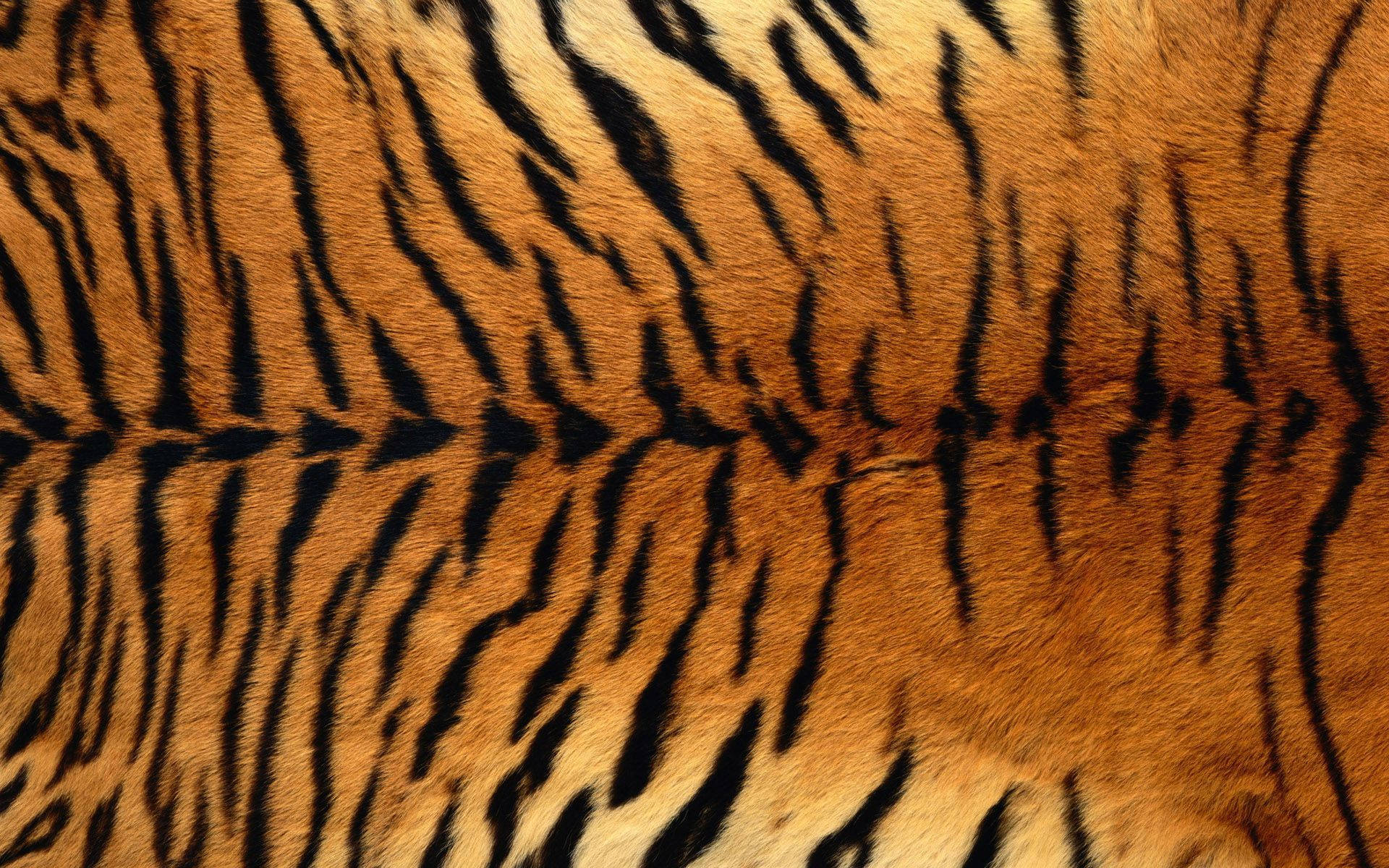 Close-up Detail Of Animal Fur Wallpaper