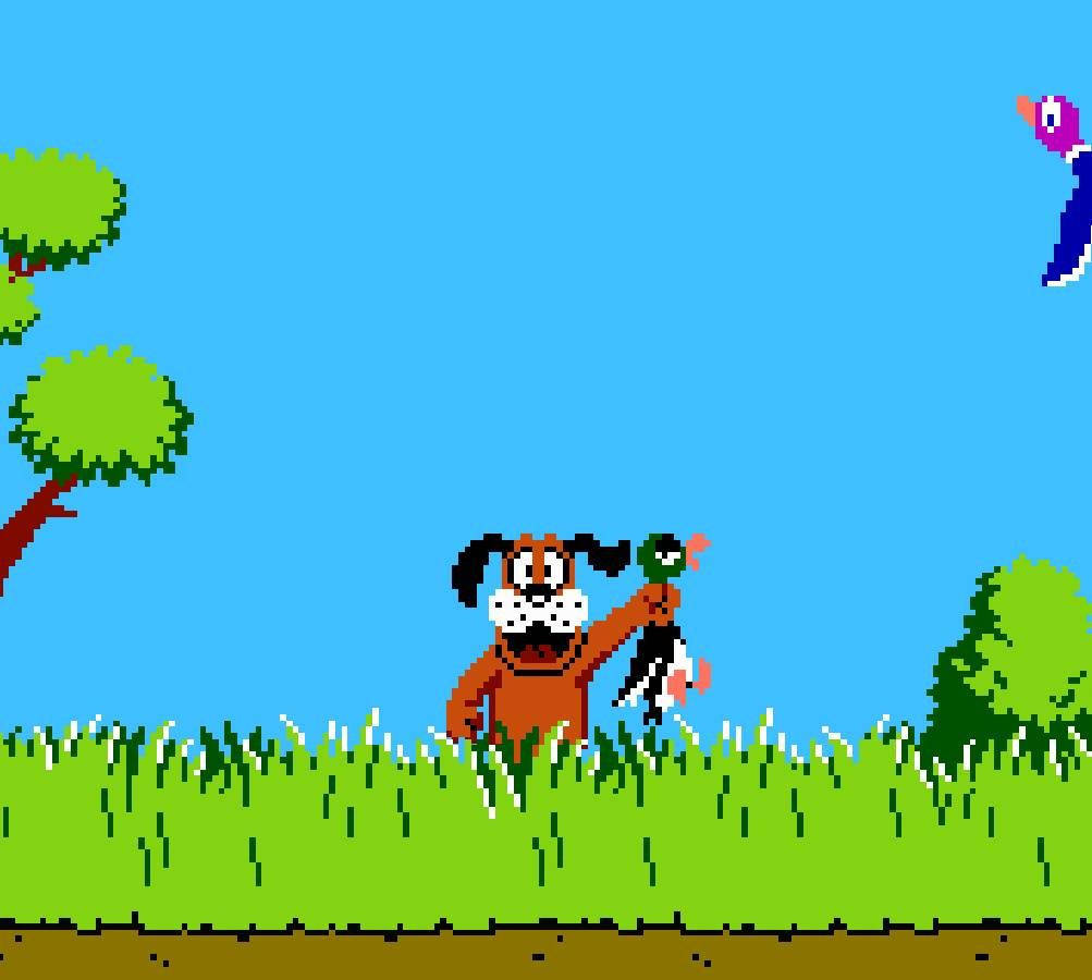 Close-up Duck Hunt Video Game Wallpaper
