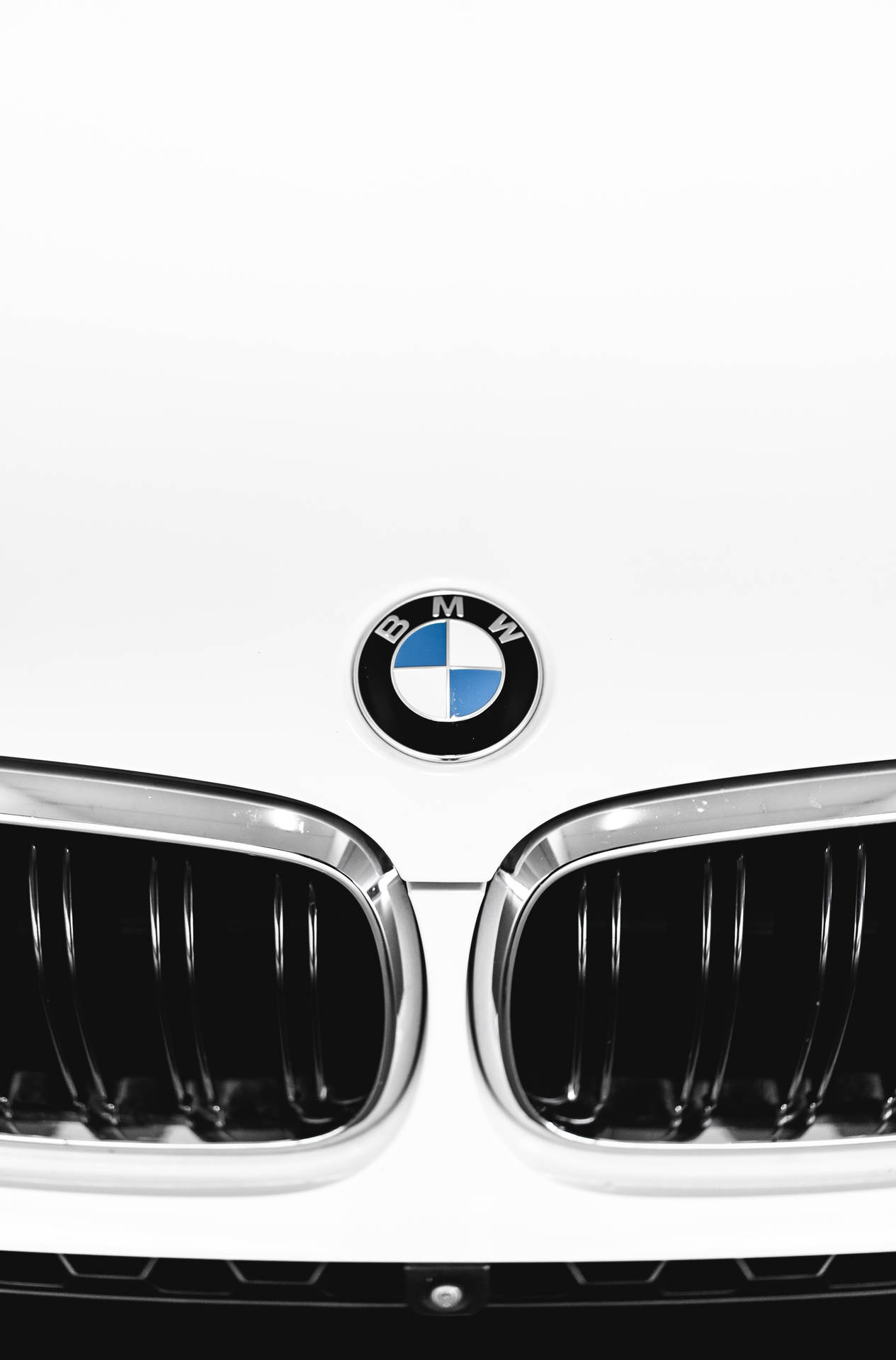 Close-up Emblem Grilles White BMW M Wallpaper