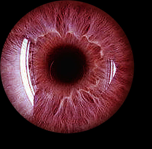 Close Up Human Eye Red Tint PNG