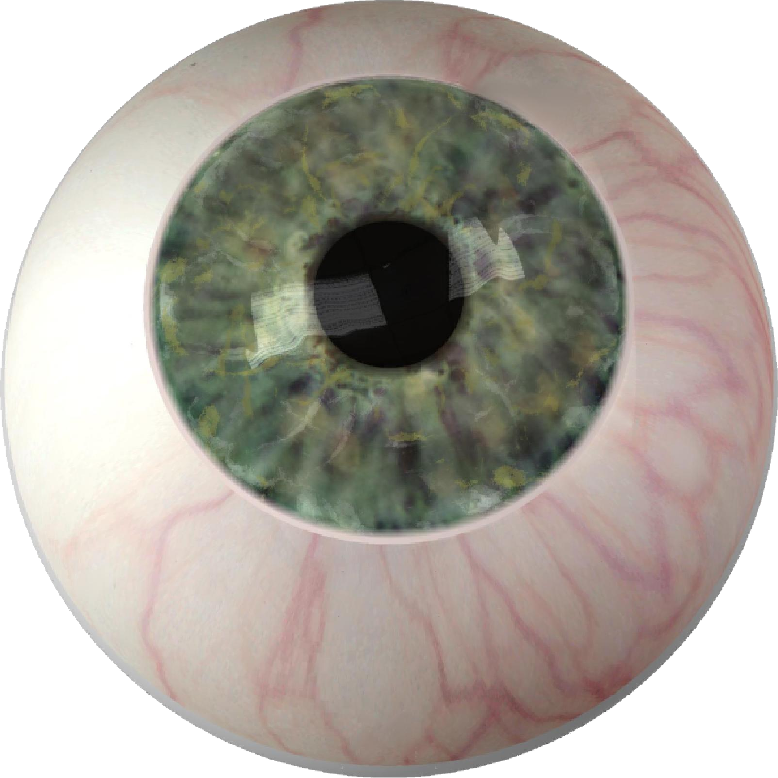 Close Up Human Iris PNG