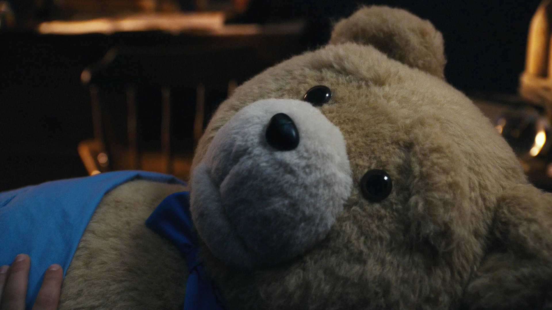 Close-up Inanimate Ted