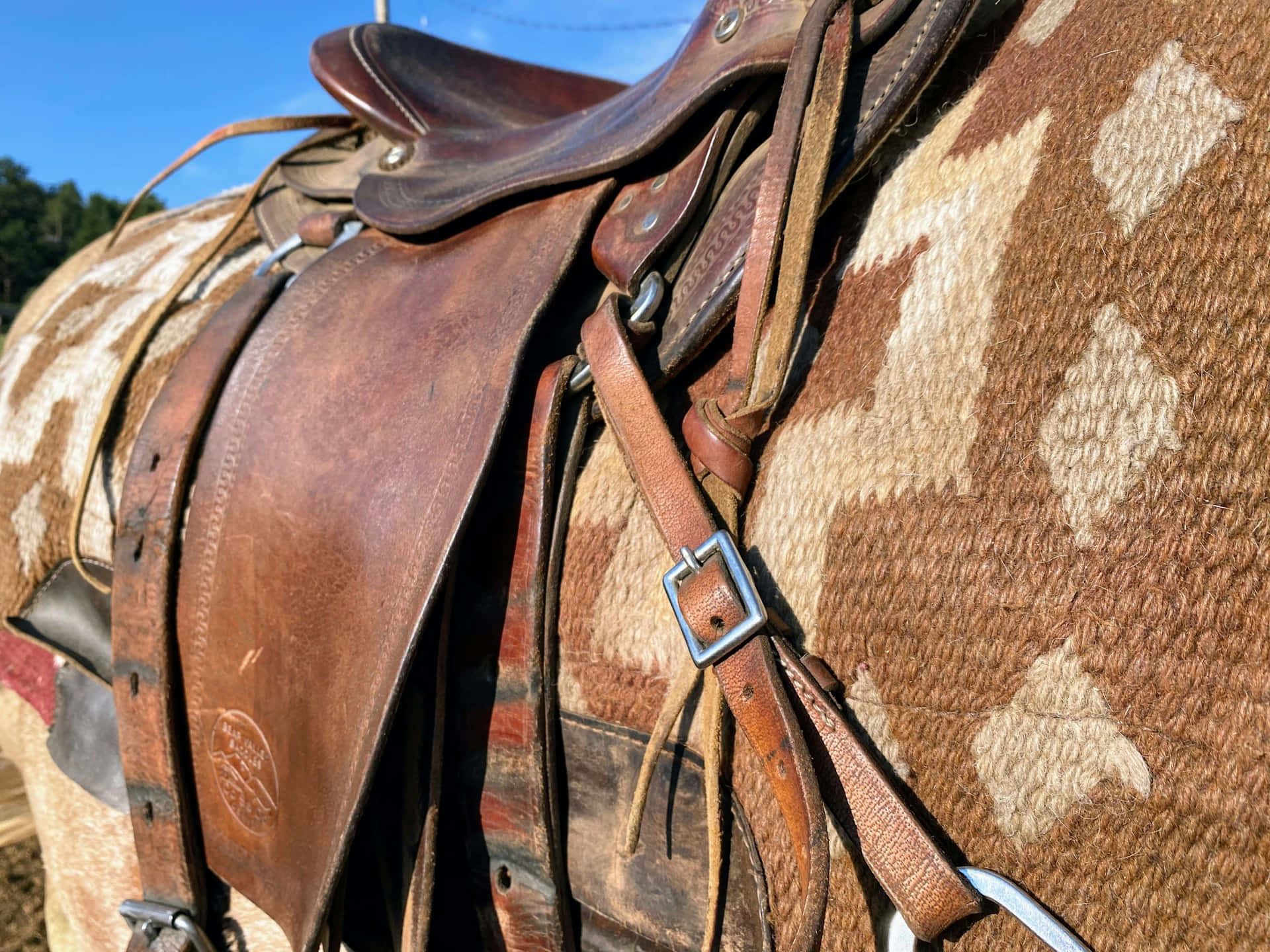 Close-up Leren Paardenzadel Achtergrond