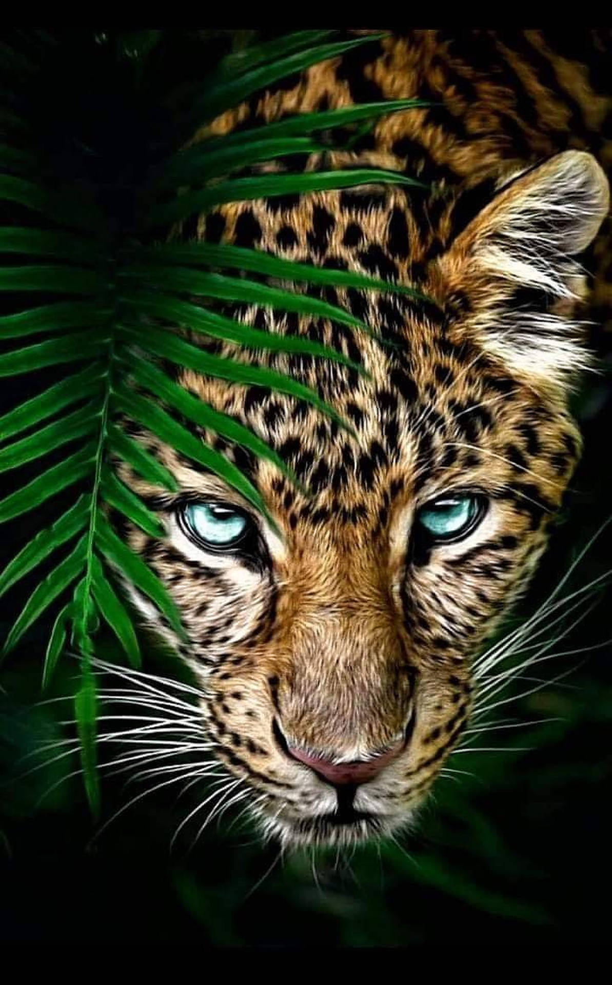 Close-Up Leopard Wild Animal Wallpaper