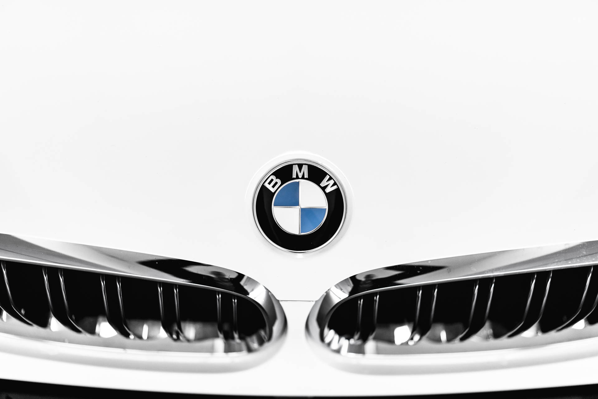 Close-up Logo White BMW M Wallpaper