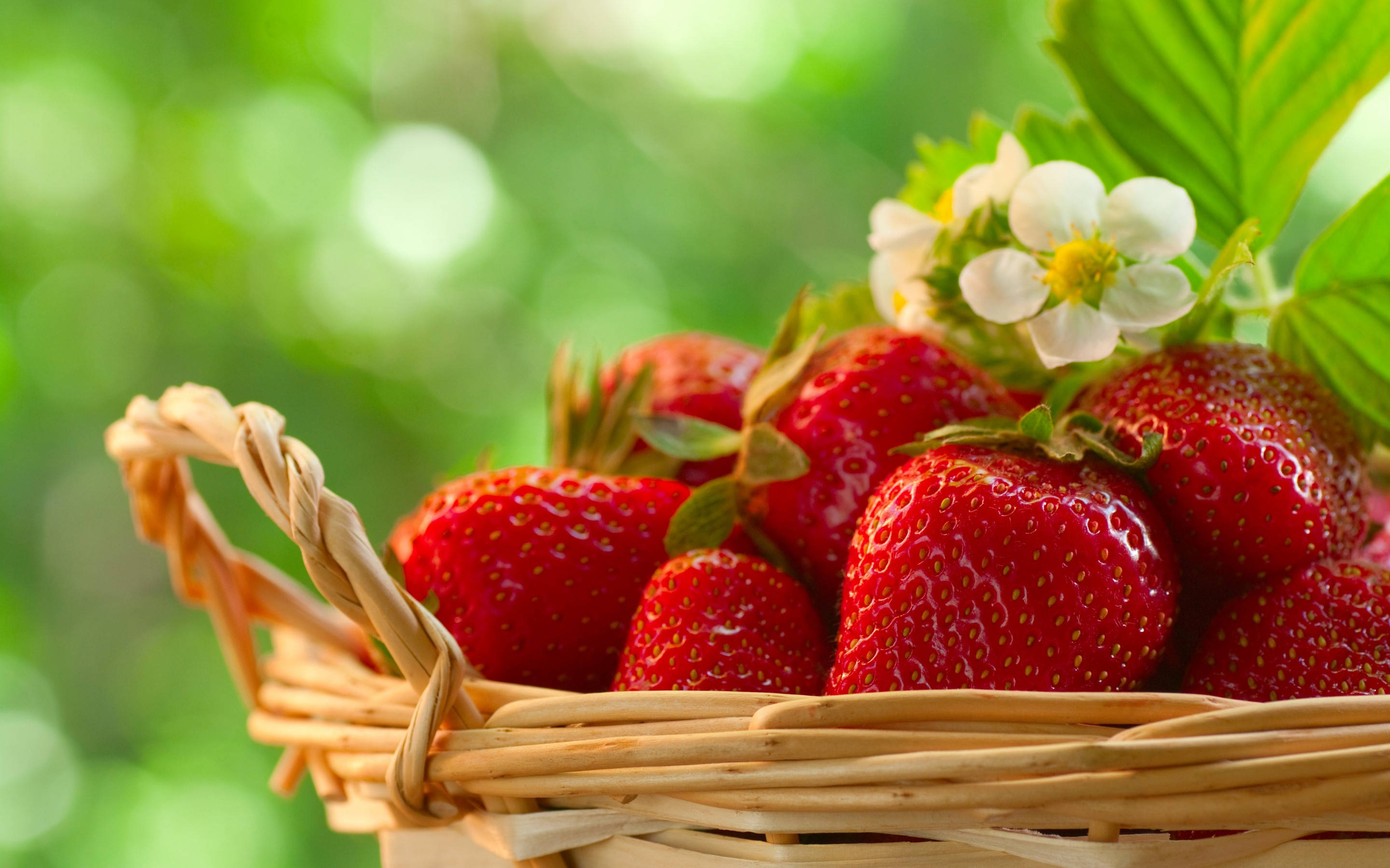 Close-up Of Basket With Strawberry Desktop Wallpaper