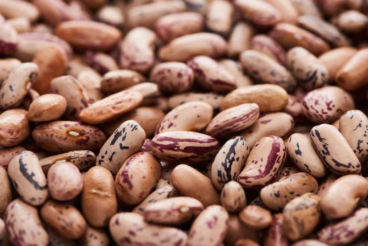Close Up Of Pinto Beans Background