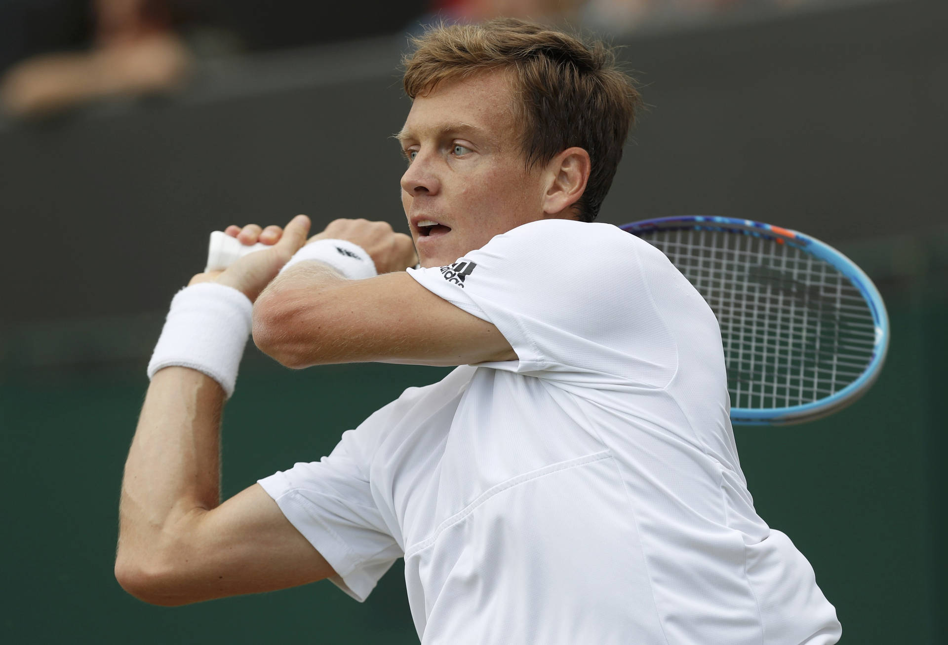 Tennis Pro Tomas Berdych in Action Wallpaper