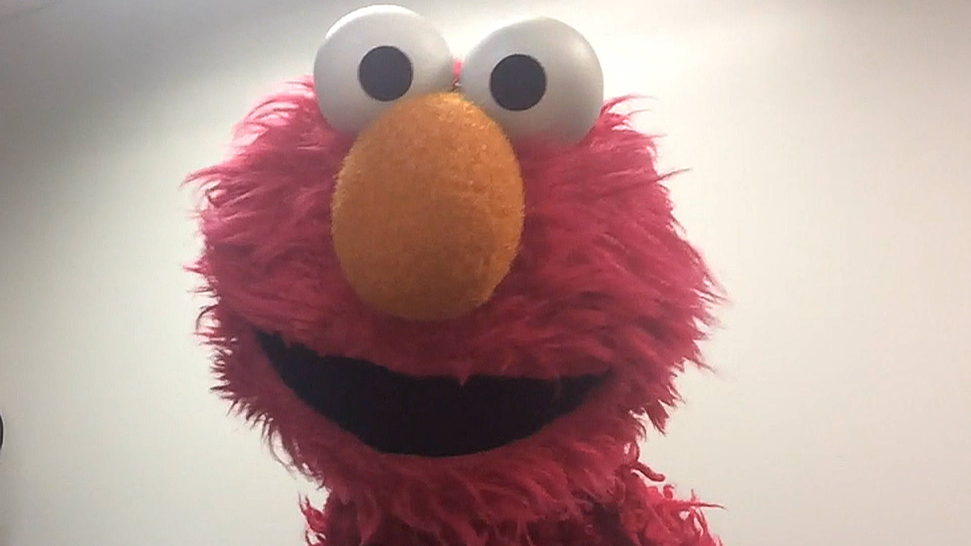 Close-up Puppet Elmo