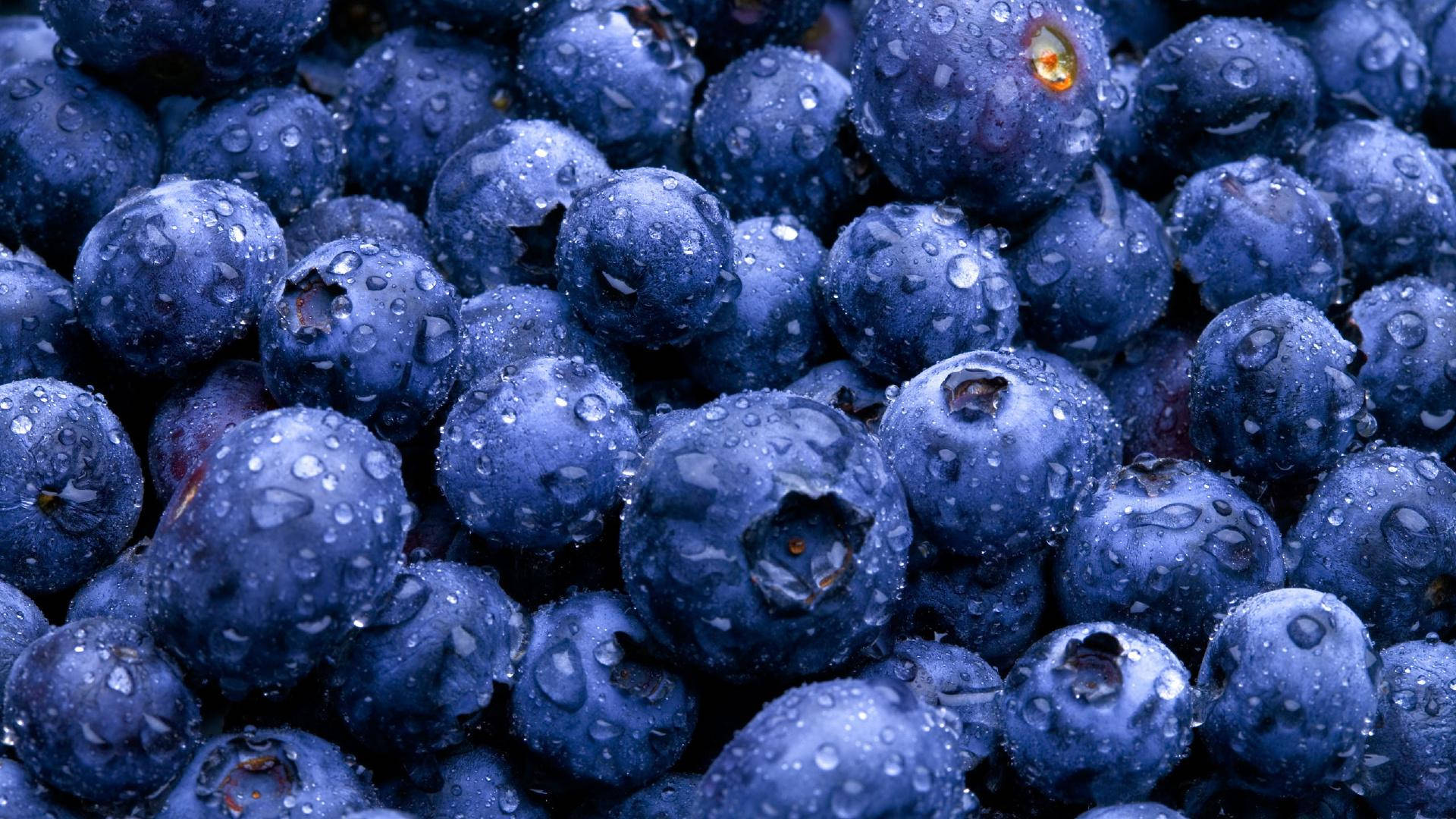 Close Up Purple Blueberries Wallpaper