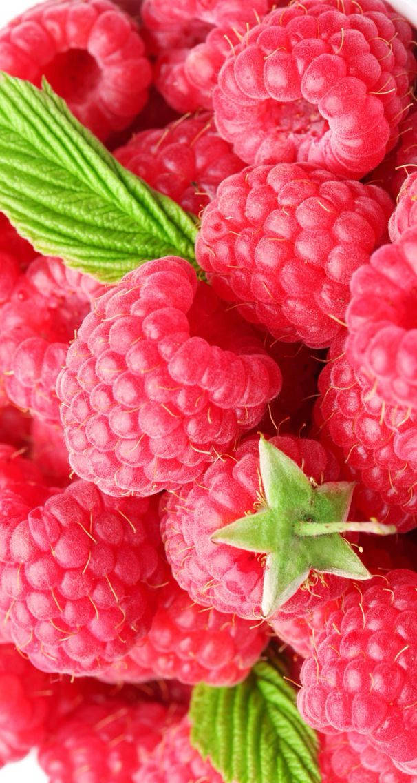 Close-Up Red Raspberries Wallpaper