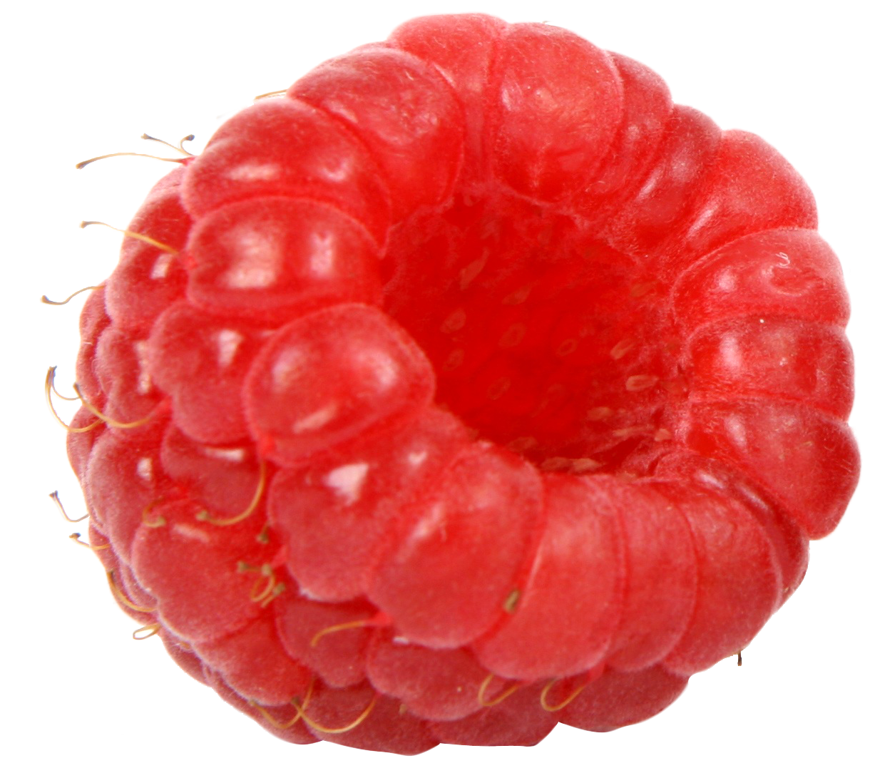 Close Up Red Raspberry PNG