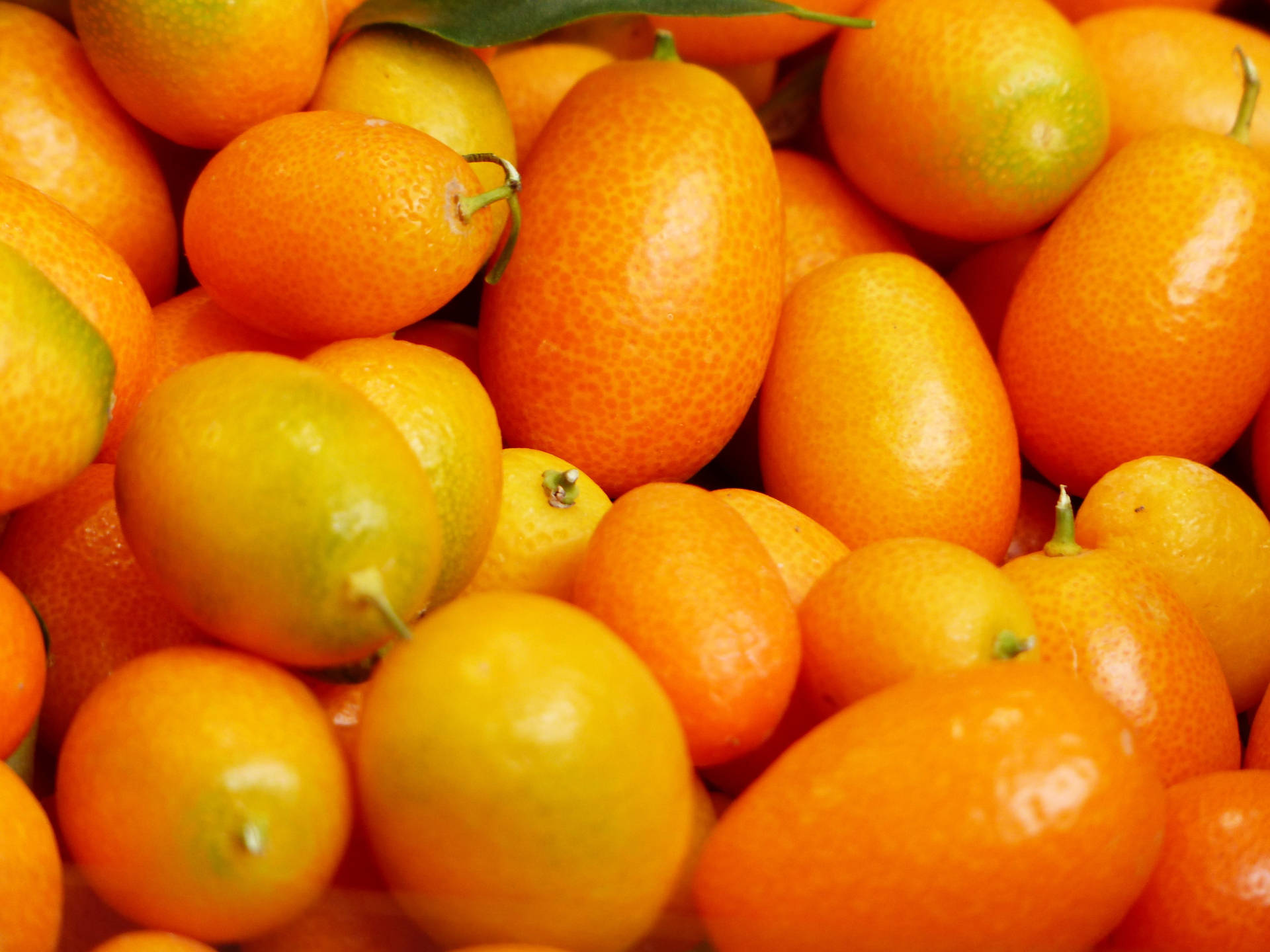 Tæt skud kumquat frugtmønster Wallpaper
