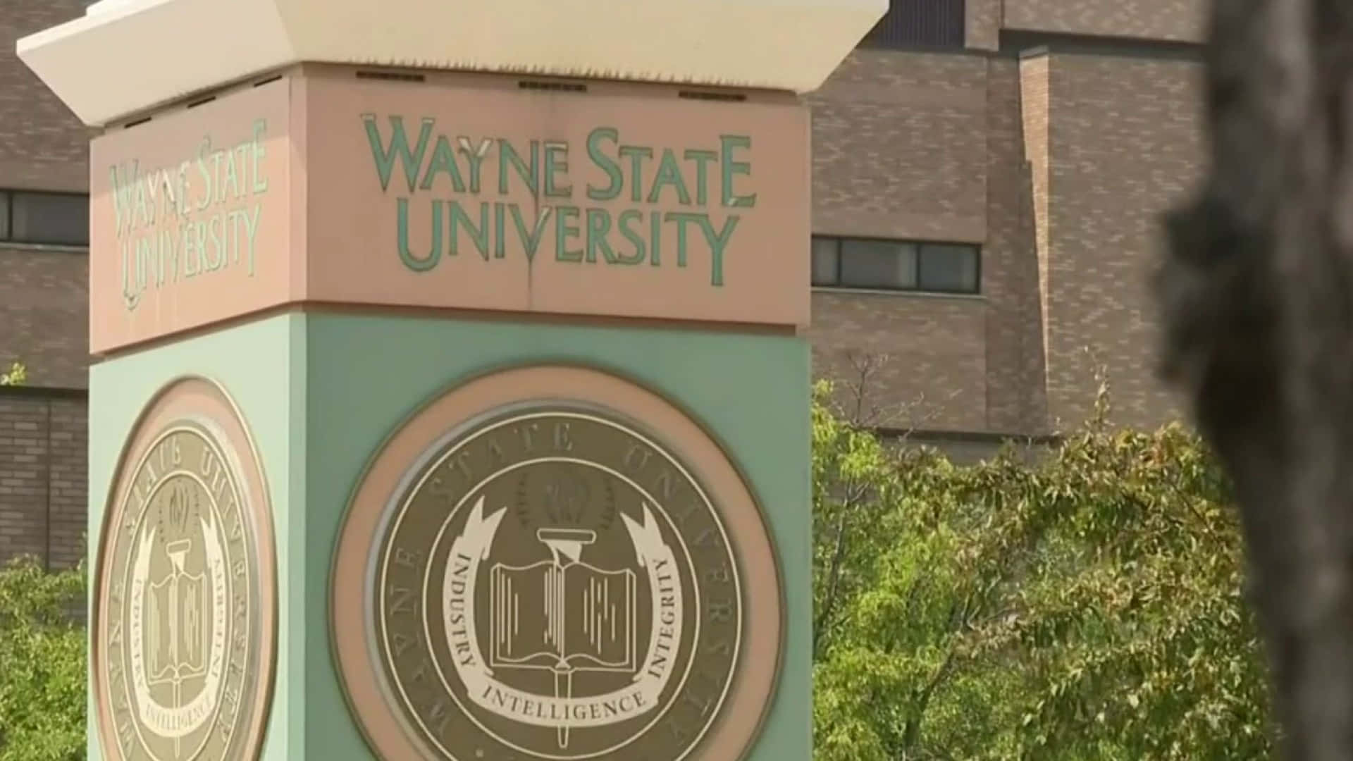 Closeup Revestimiento Universidad Wayne State Fondo de pantalla