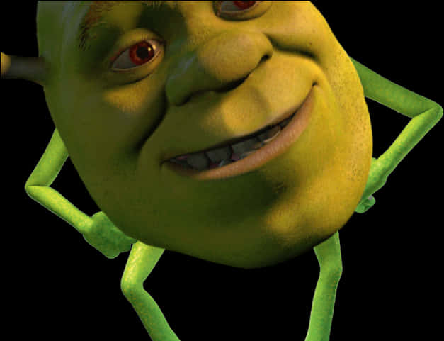 Close Up Smiling Shrek PNG