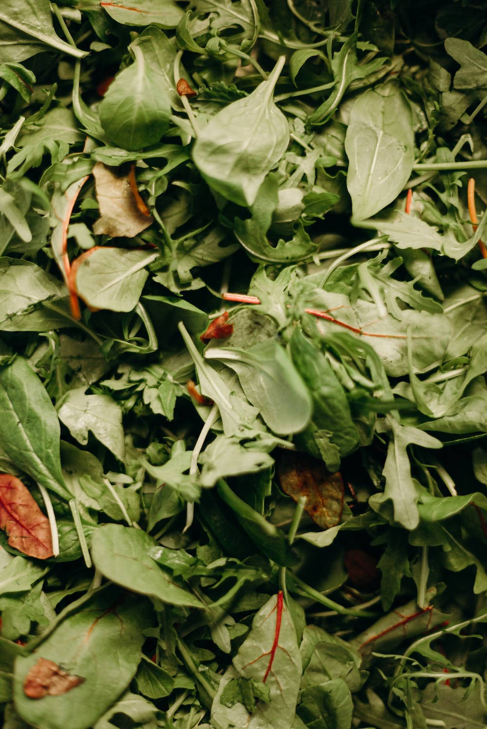 Fresh and Vibrant Spinach Close-Up Wallpaper