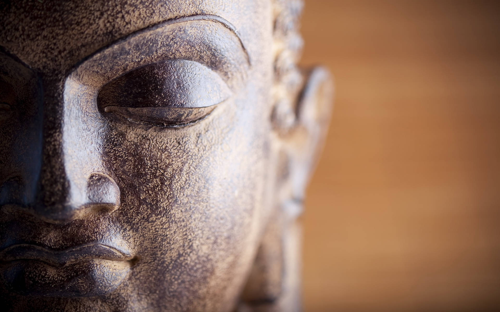 Close-up Statue Of Buddha Hd Wallpaper