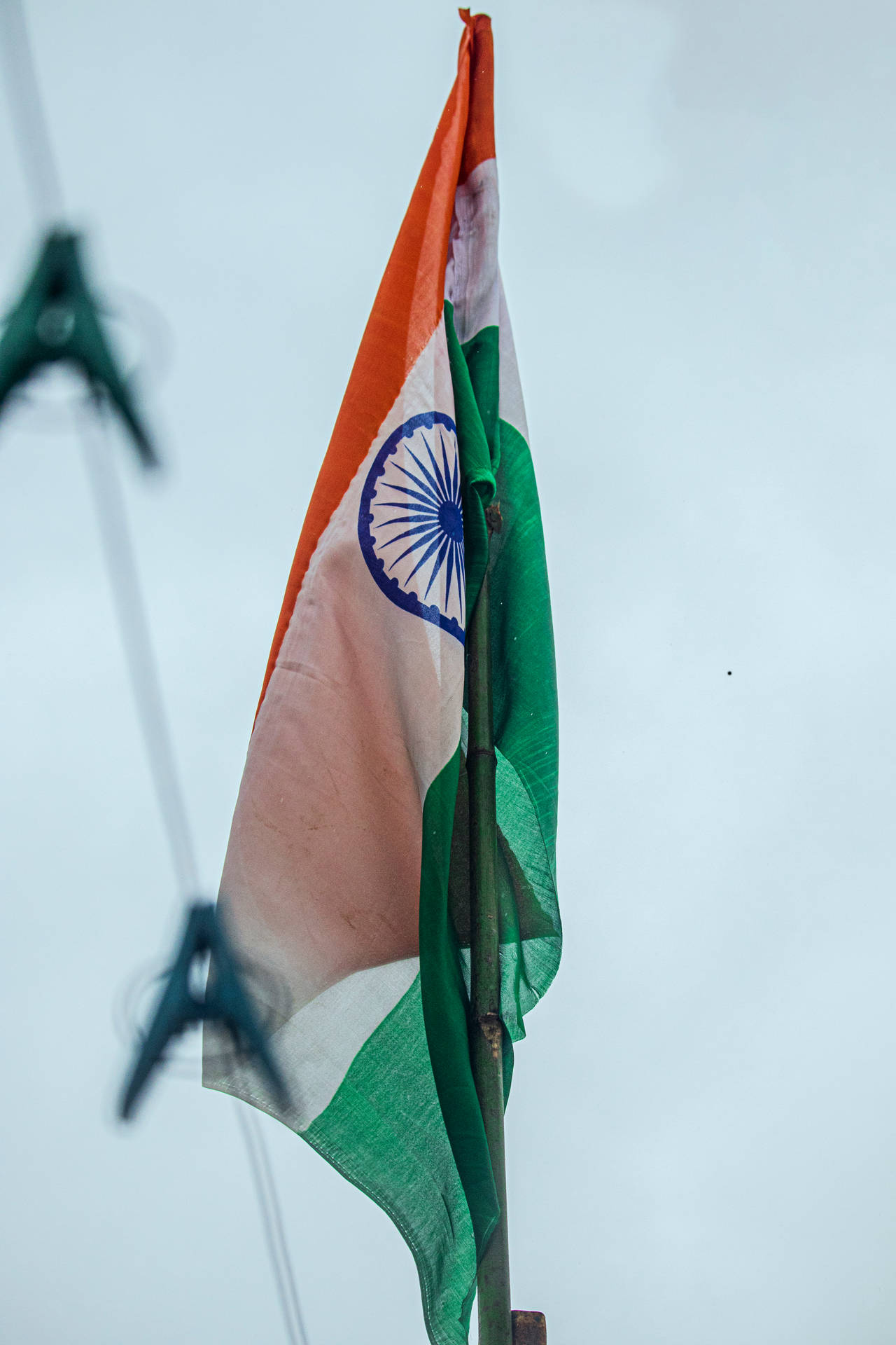 Close-up Tiranga Indian Flag Wallpaper