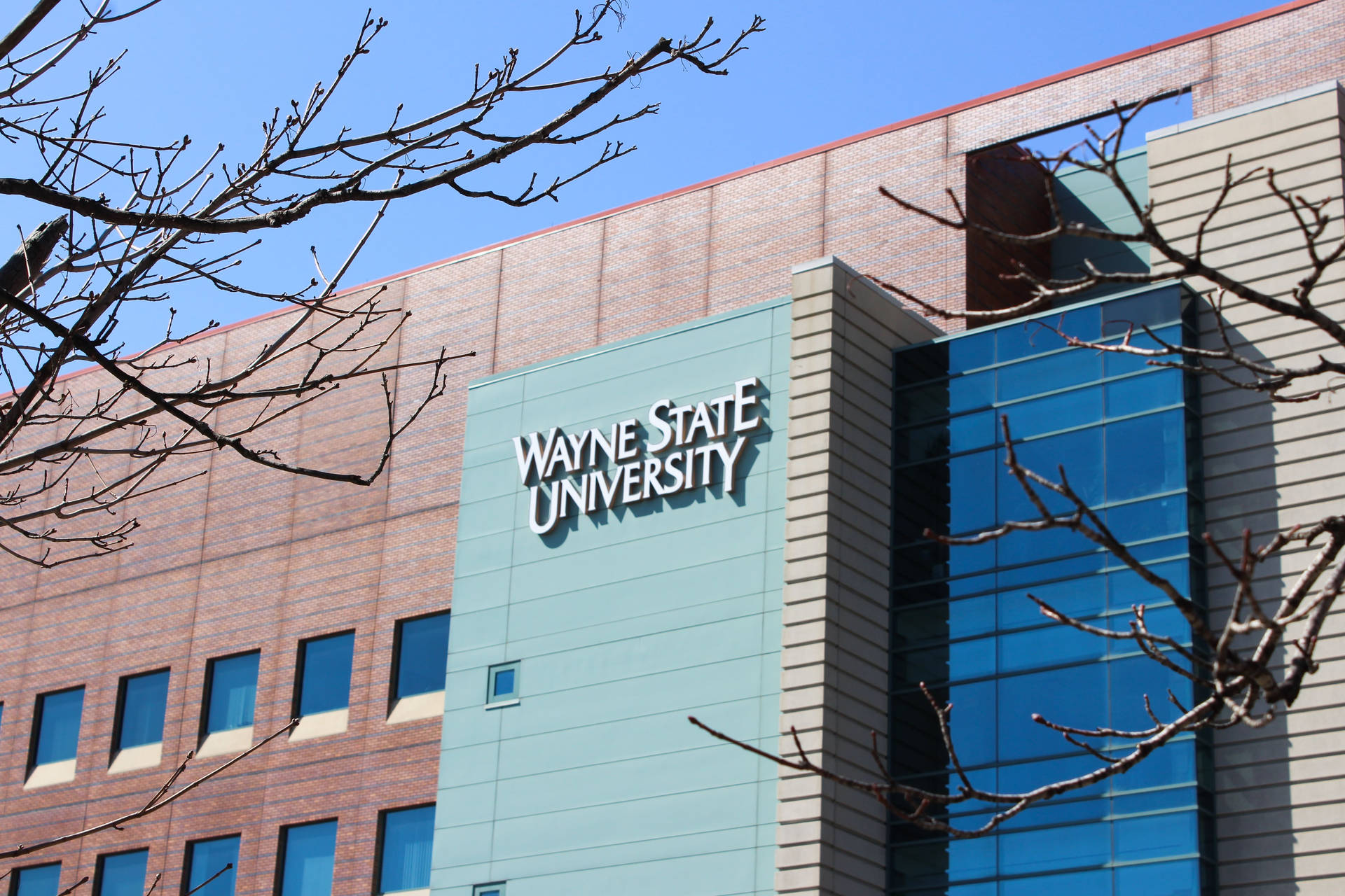 Kom tæt på Wayne State University Skolebygning under en klar himmel Wallpaper