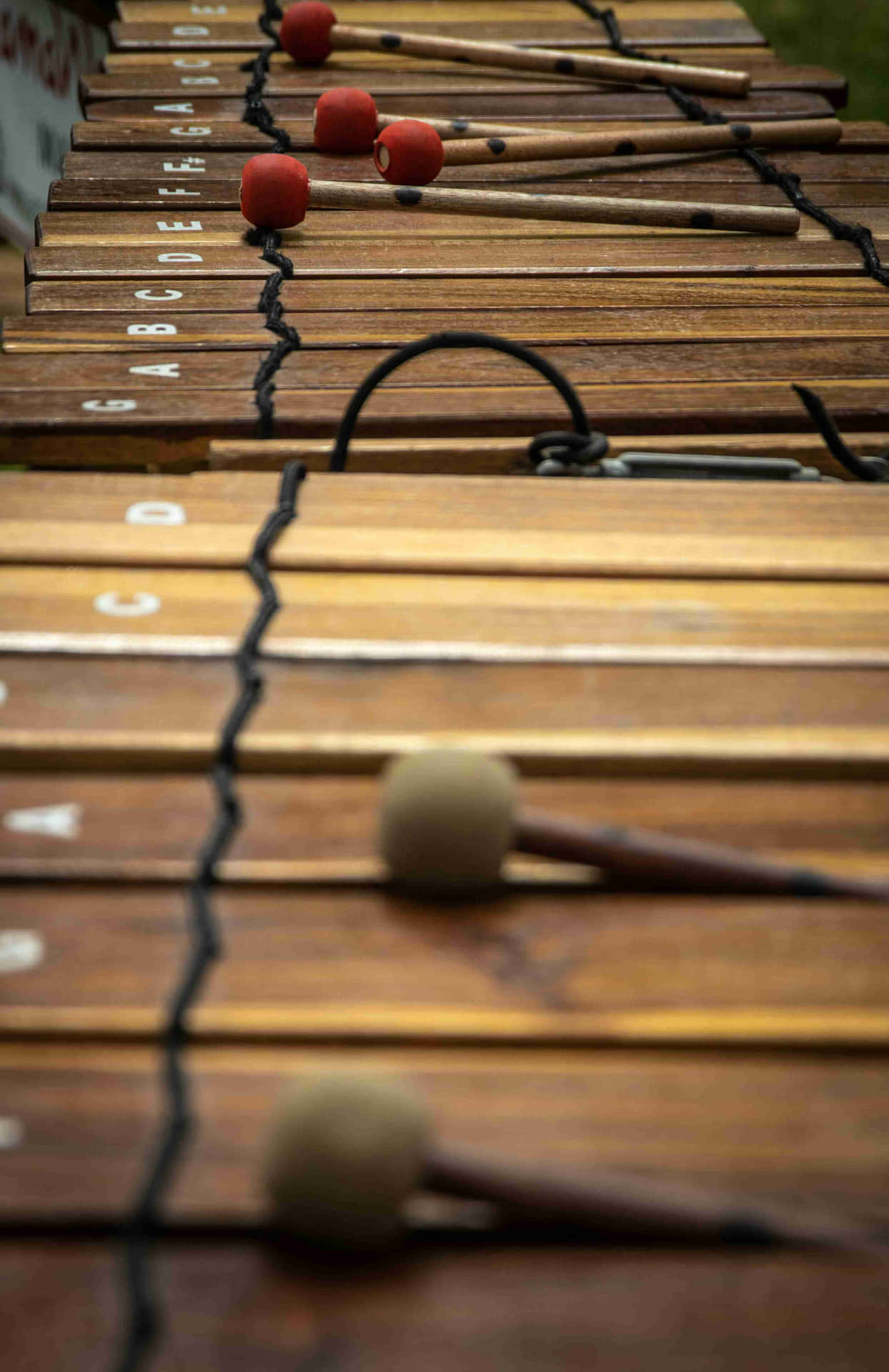 Close Up Xylophone With Mallets Wallpaper