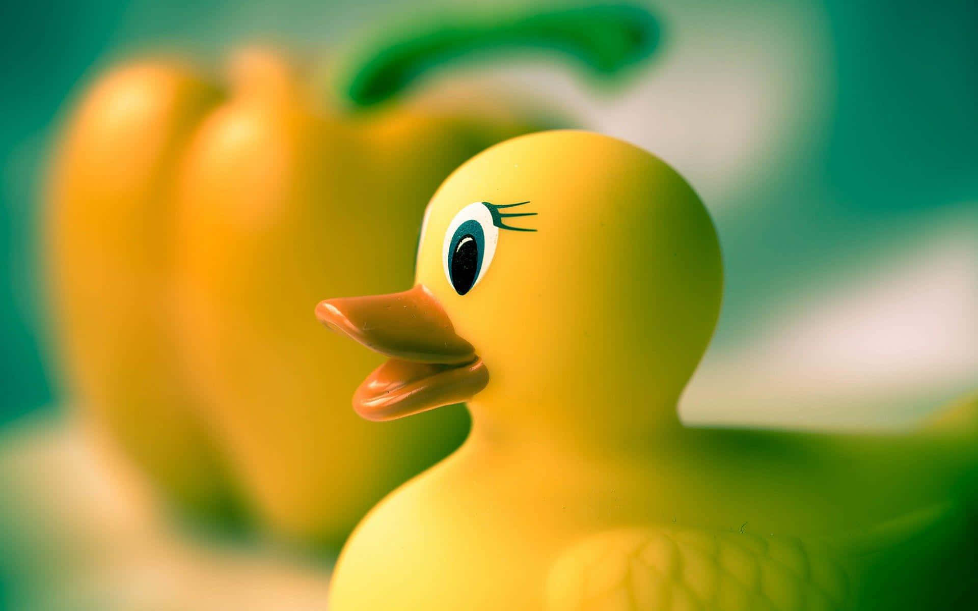Close Up Yellow Rubber Duck Wallpaper