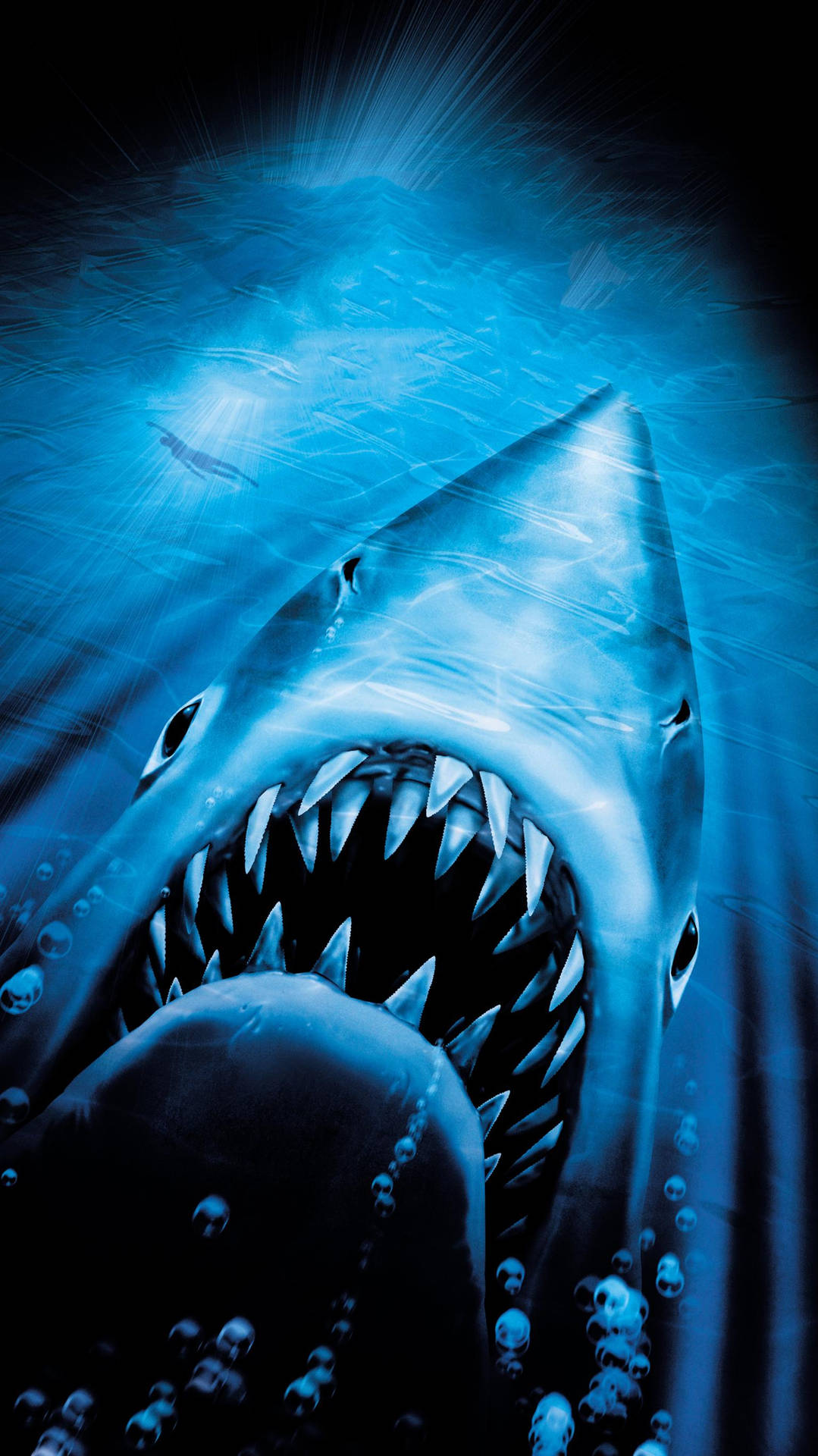 The classic image of Jaws, the great white shark Wallpaper
