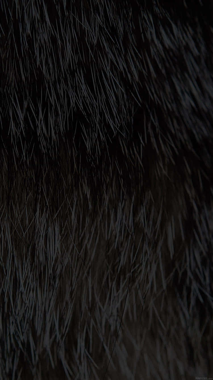 Closeup Black Faux Fur Texture Wallpaper