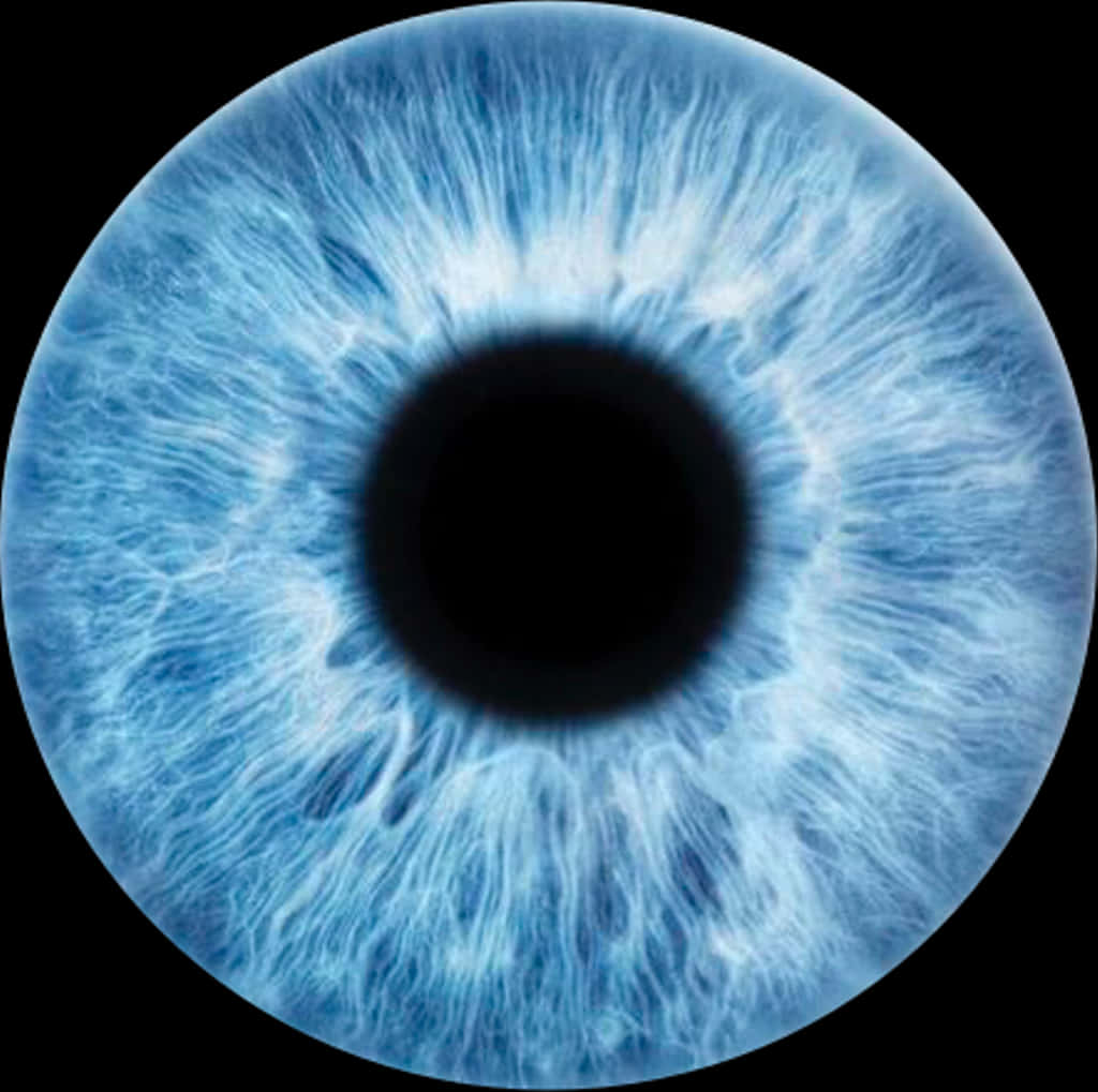 Closeup Blue Human Iris PNG
