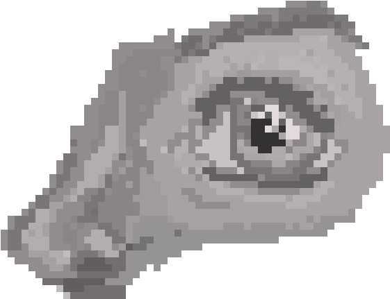 Closeup Chameleon Eye Pixel Art PNG