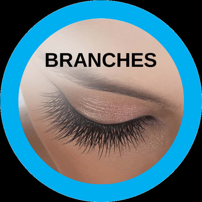 Download Closeup Eye With Long Lashes | Wallpapers.com