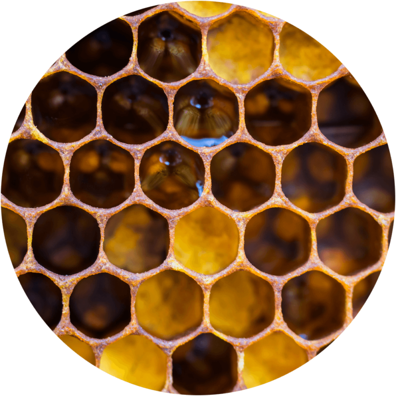 Closeup Honeycomb Texture PNG